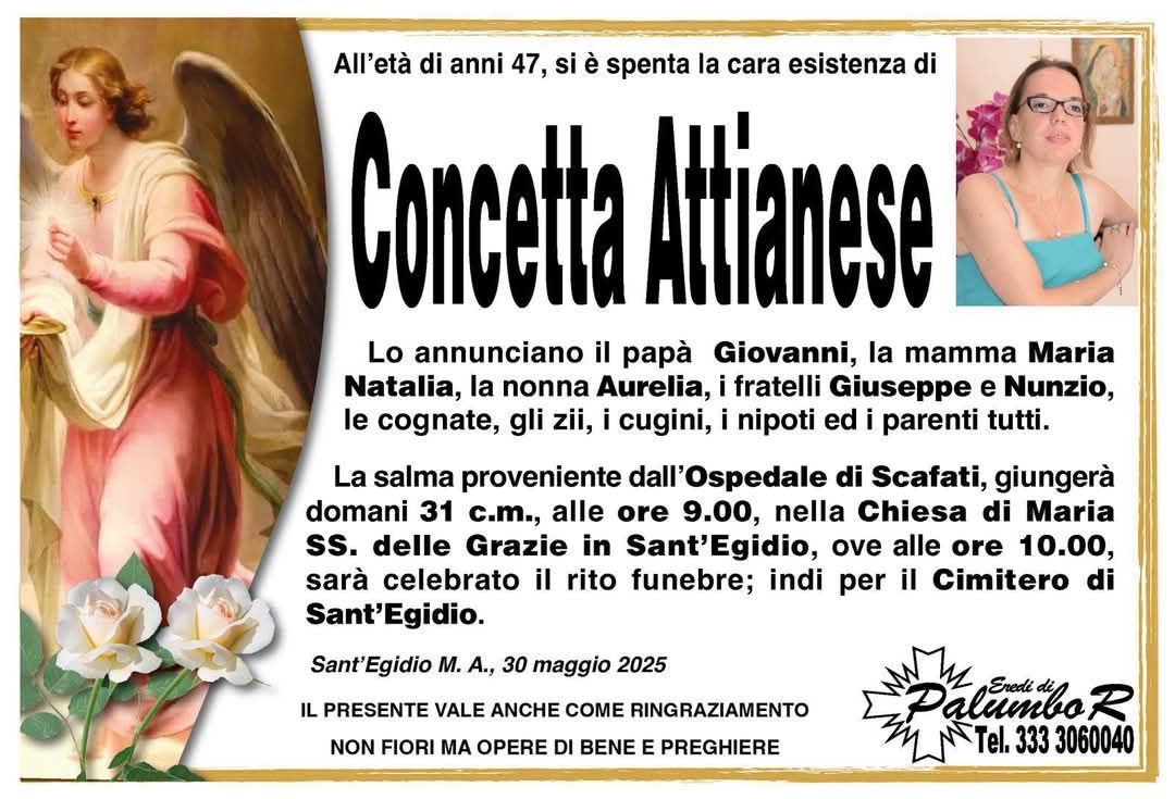 concetta attianese