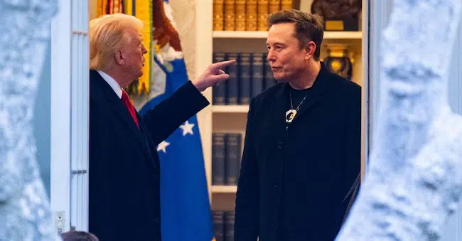 trump musk
