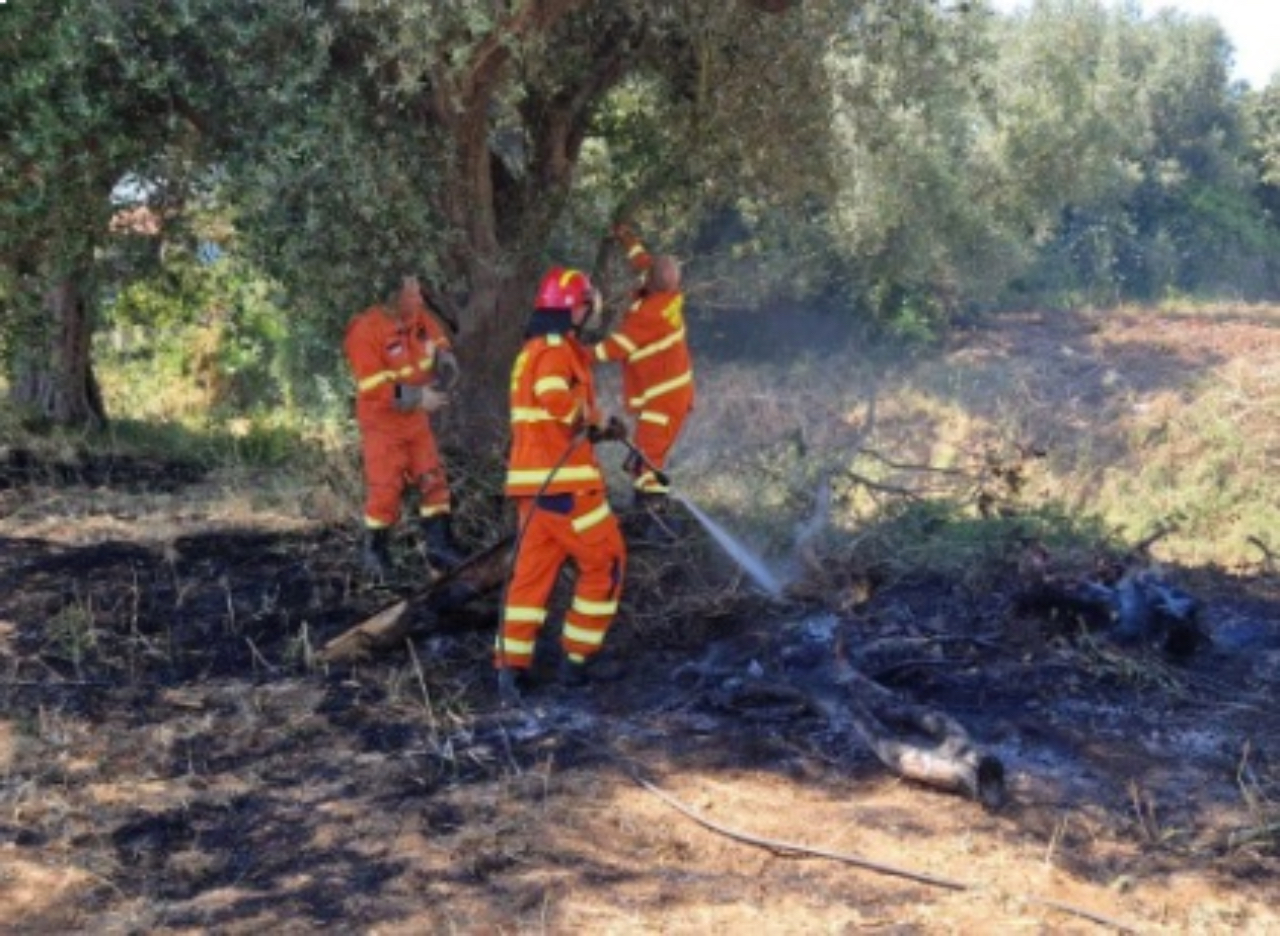 Incendio morto in un campo Pasquale De Angelis