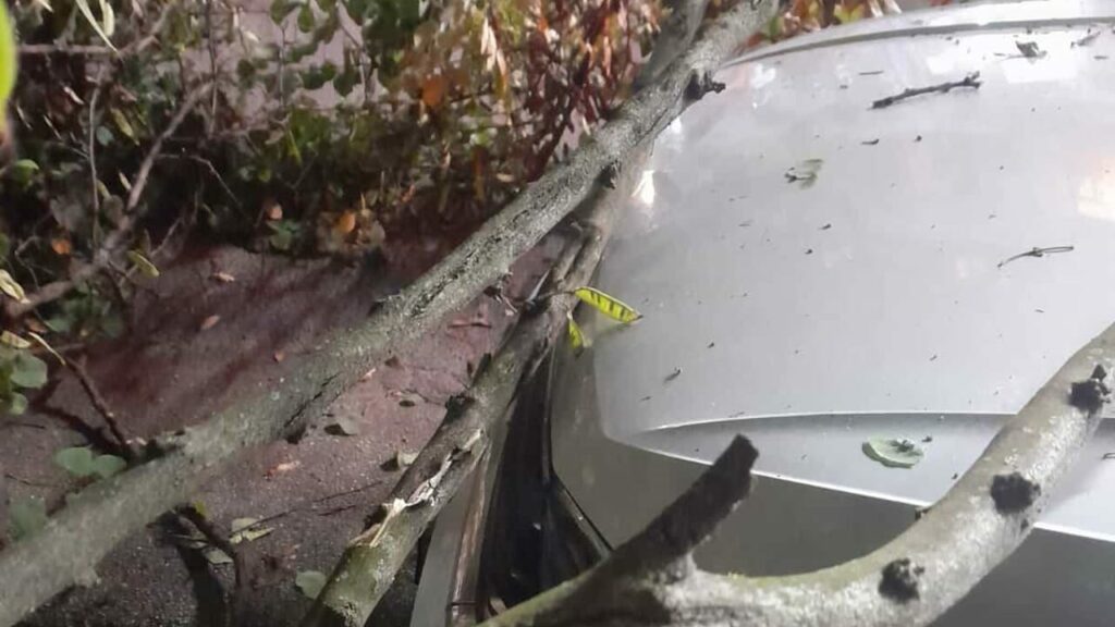 Napoli, albero cade su auto