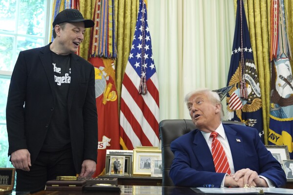 trump musk