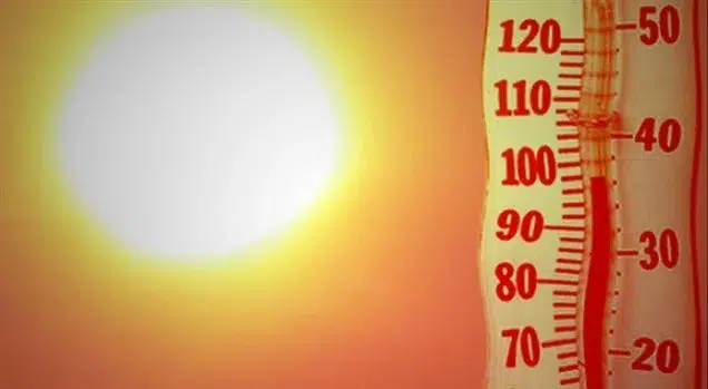 allerta meteo caldo 6 luglio 2025