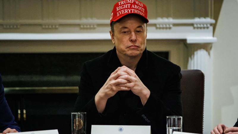 Elon Musk America Party