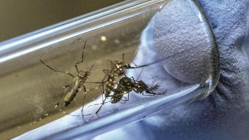West Nile