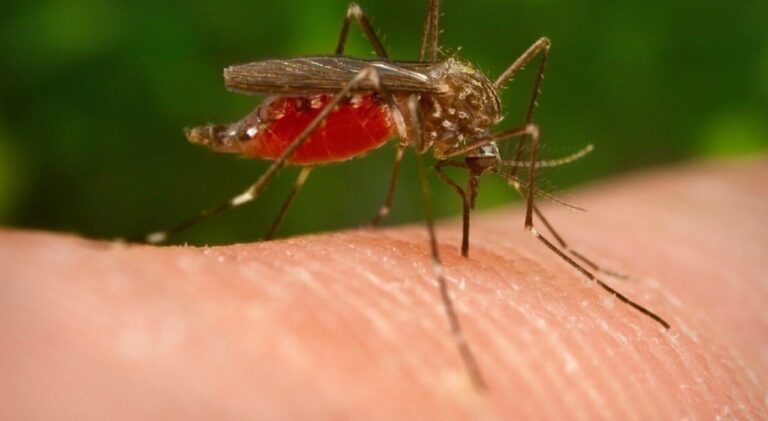 West Nile