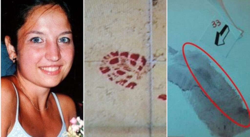 Delitto Garlasco, sangue sul telefono di Chiara Poggi