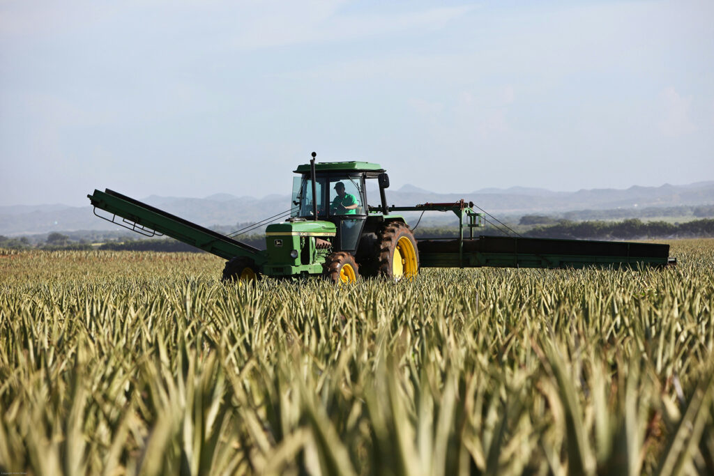 bonus agricoltura 2025