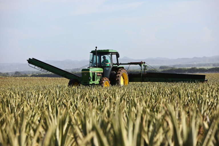 bonus agricoltura 2025