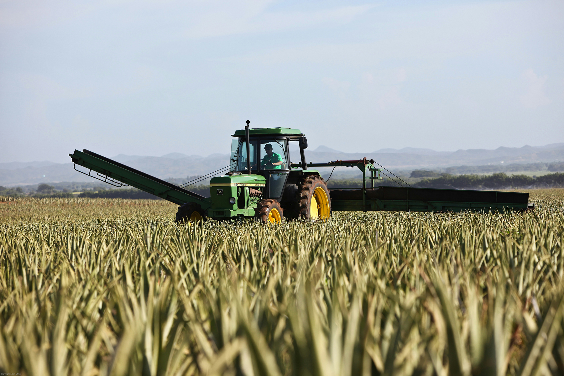 bonus agricoltura 2025