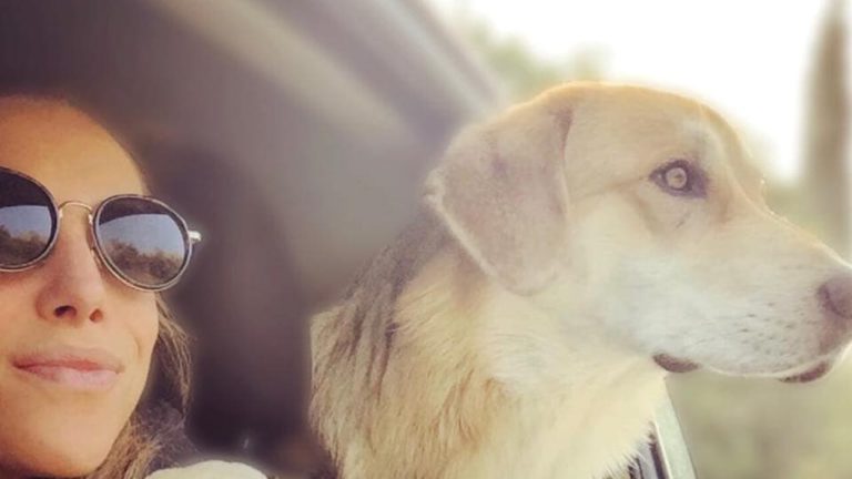 Elena Antonelli e Gully, la donna muore senza poter riabbracciare il suo cane