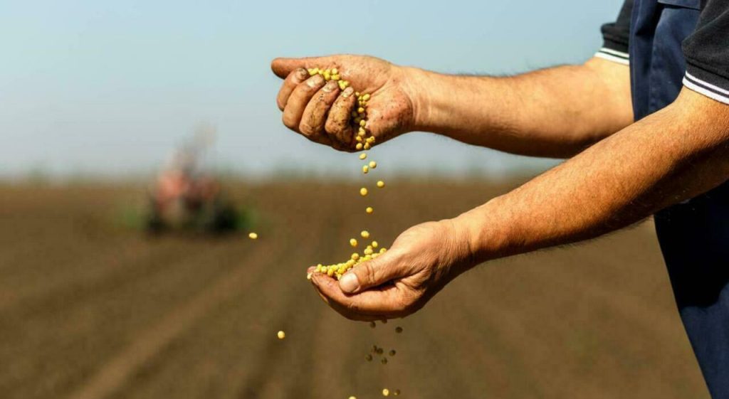 bonus formazione giovani agricoltori