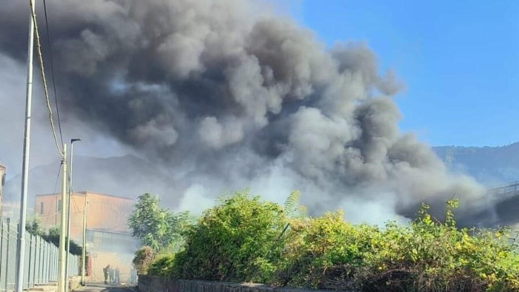 Incendio Castellammare 1 settembre 2025 - foto Comune di Castellammare
